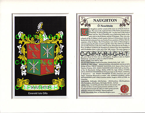 Naughton Family Crest and Name History