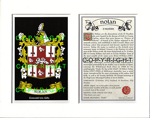 Nolan Family Crest and Name History