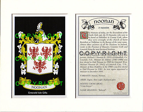 Noonan Family Crest and Name History