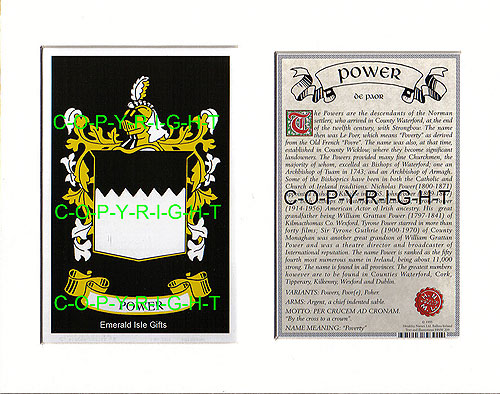 Power Family Crest and Name History