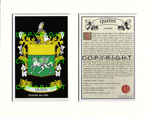 Quinn Family Crest and Name History