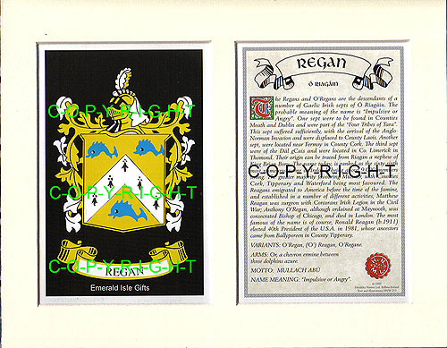 Regan Family Crest and Name History