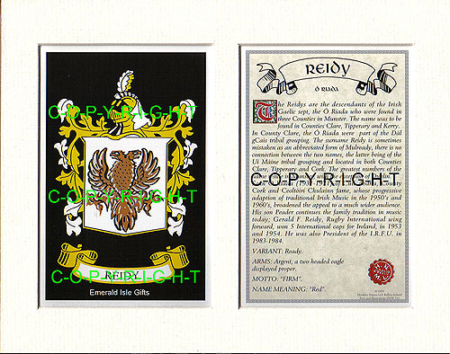 Reidy Family Crest and Name History