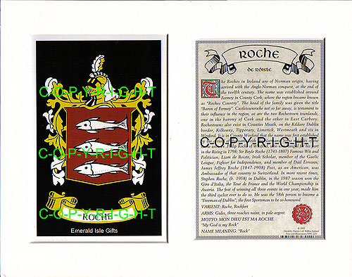 Roche Family Crest and Name History