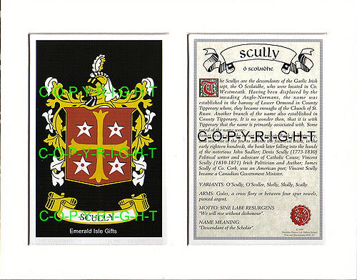 Scully Irish Coat of popular Arms Interlace Kilt Buckle