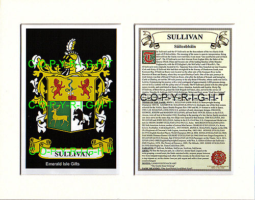 Sullivan Family Crest and Name History