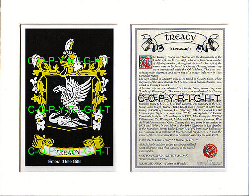 Treacy Family Crest and Name History