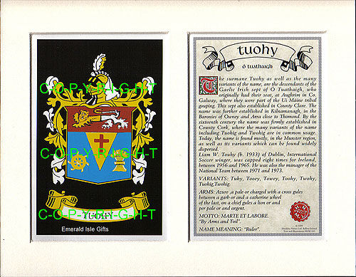 Tuohy Family Crest and Name History