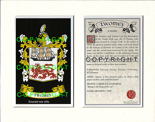 Twomey Family Crest and Name History