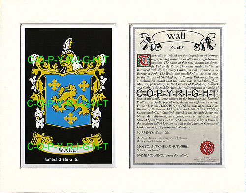 Wall Family Crest and Name History