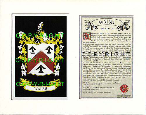 Heraldic Mounts Walsh Family Crest And History