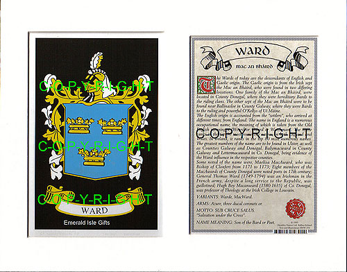 Ward Family Crest and Name History