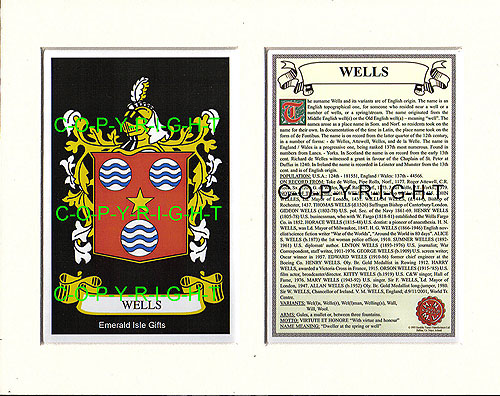 Wells Family Crest and Name History