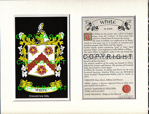 White Family Crest and Name History