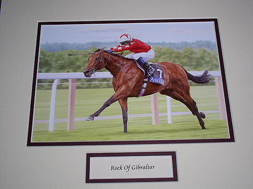 Rock Of Gibraltar Racehorse