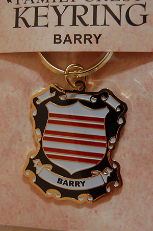 Barry Keyring Keychain - Coat of Arms