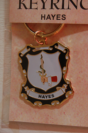 Hayes Keyring Keychain - Coat of Arms