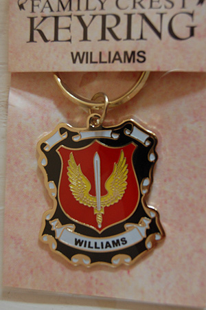 Williams Keyring Keychain - Coat of Arms