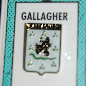 Gallagher Pin Lapel Clip Badge - Coat of Arms