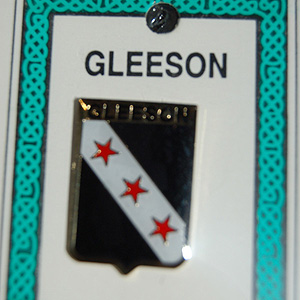 Gleeson Pin Lapel Clip Badge - Coat of Arms