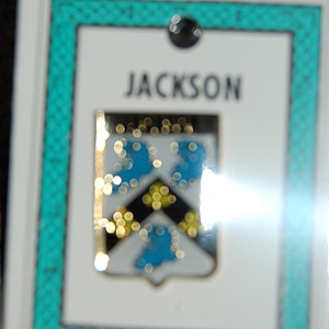 Jackson Pin Lapel Clip Badge - Coat of Arms