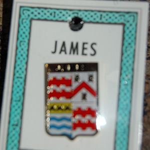 James Pin Lapel Clip Badge - Coat of Arms