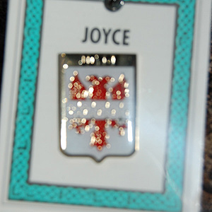 Joyce Pin Lapel Clip Badge - Coat of Arms