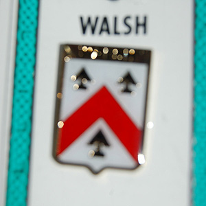 Walsh Pin Lapel Clip Badge - Coat of Arms