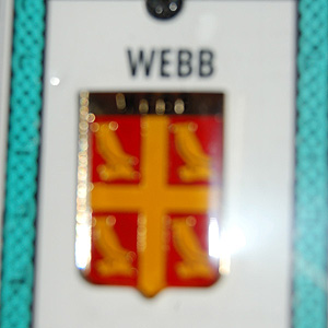 Webb Pin Lapel Clip Badge - Coat of Arms