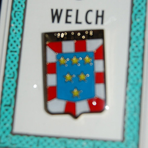 Welch Pin Lapel Clip Badge - Coat of Arms