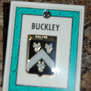 Buckley Pin Lapel Clip Badge - Coat of Arms