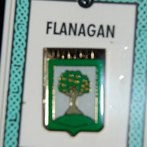 Flanagan Pin Lapel Clip Badge - Coat of Arms