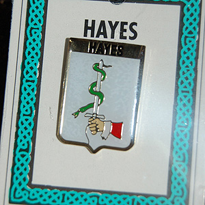 Hayes Pin Lapel Clip Badge - Coat of Arms