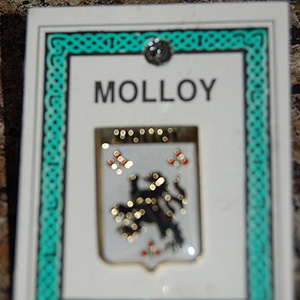 Molloy Pin Lapel Clip Badge - Coat of Arms