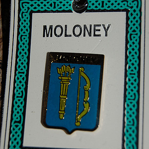 Moloney Pin Lapel Clip Badge - Coat of Arms