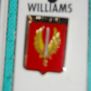 Williams Pin Lapel Clip Badge - Coat of Arms