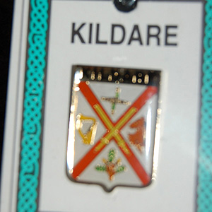 Kildare County Irish Pin Lapel Clip Badge