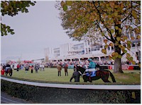 Irish Racecourse Pictures